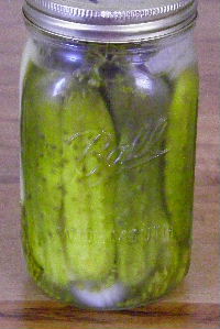 Sweet Dill Pickles