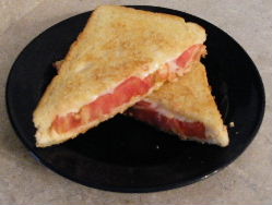 Grilled cheese with tomato sandwiches