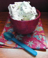 mint chocolate chip ice cream recipe